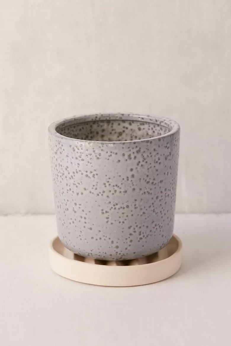 planter and drainage tray