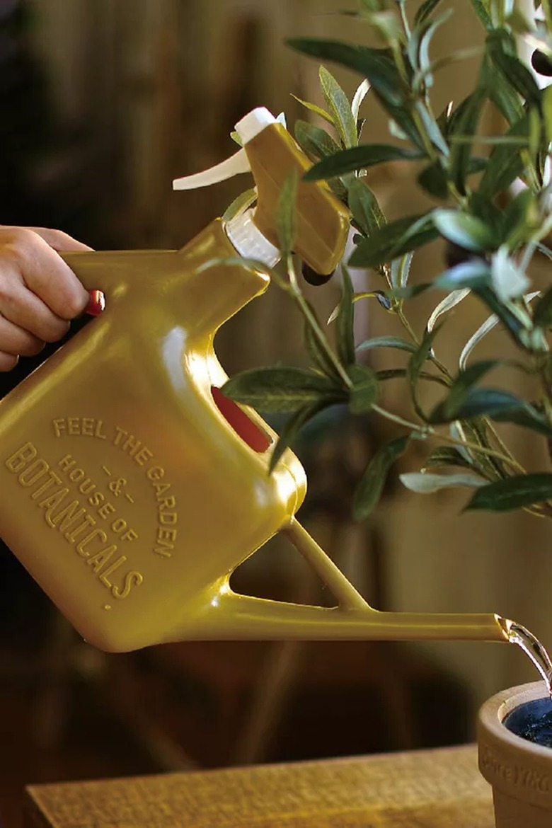 person using spray bottle watering can on plant