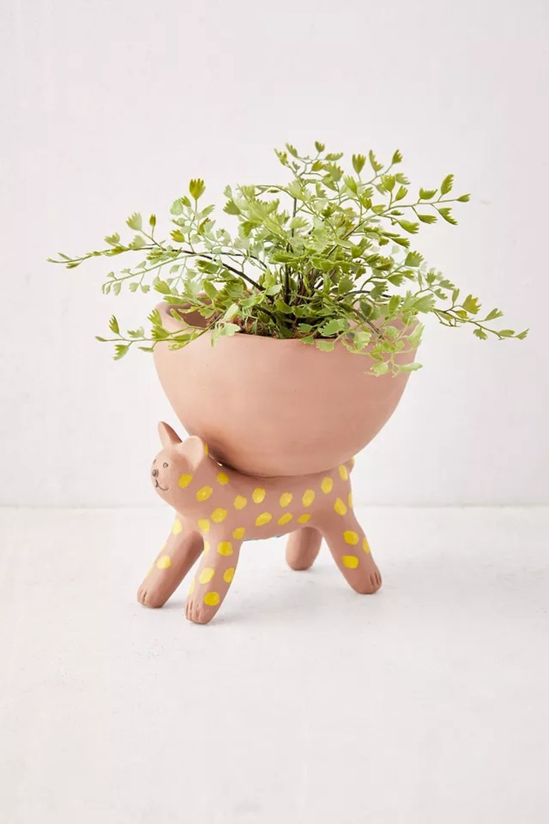 spotted cat planter with plant
