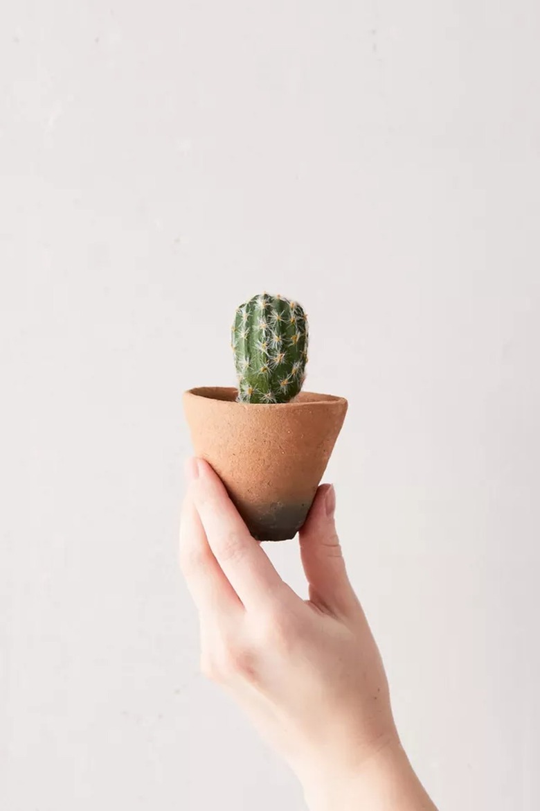 person holding mini terra cotta planter