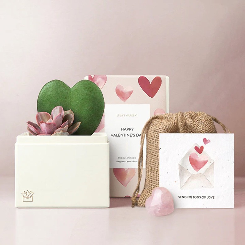 Lula's Garden valentine's day flower delivery