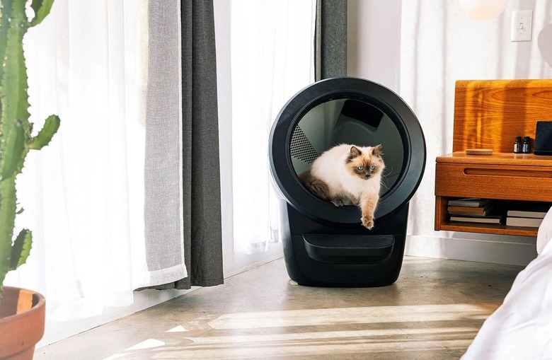cat in black litter robot