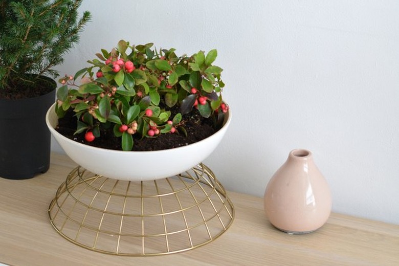 Design a planter using the Rundlig serving bowl and the Utvandig bowl.