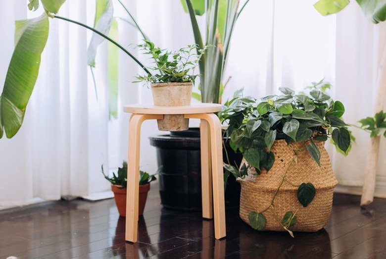 IKEA stool transformed into a planter.