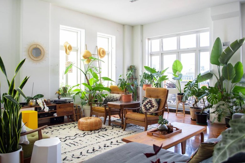 Vintage living room filled with plants