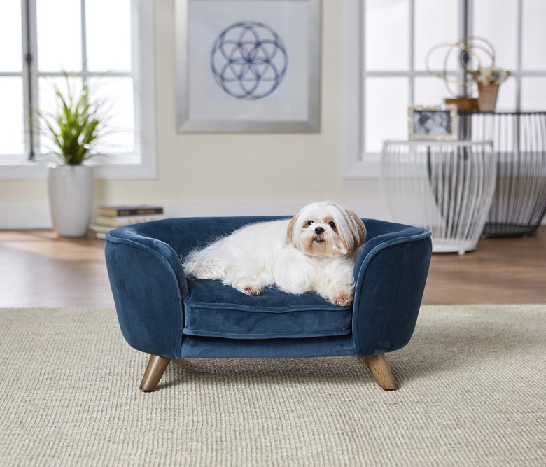 midcentury modern dog bed