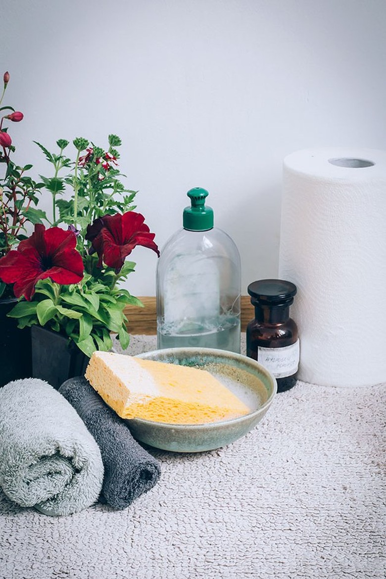 Cleaners and sponge on carpet