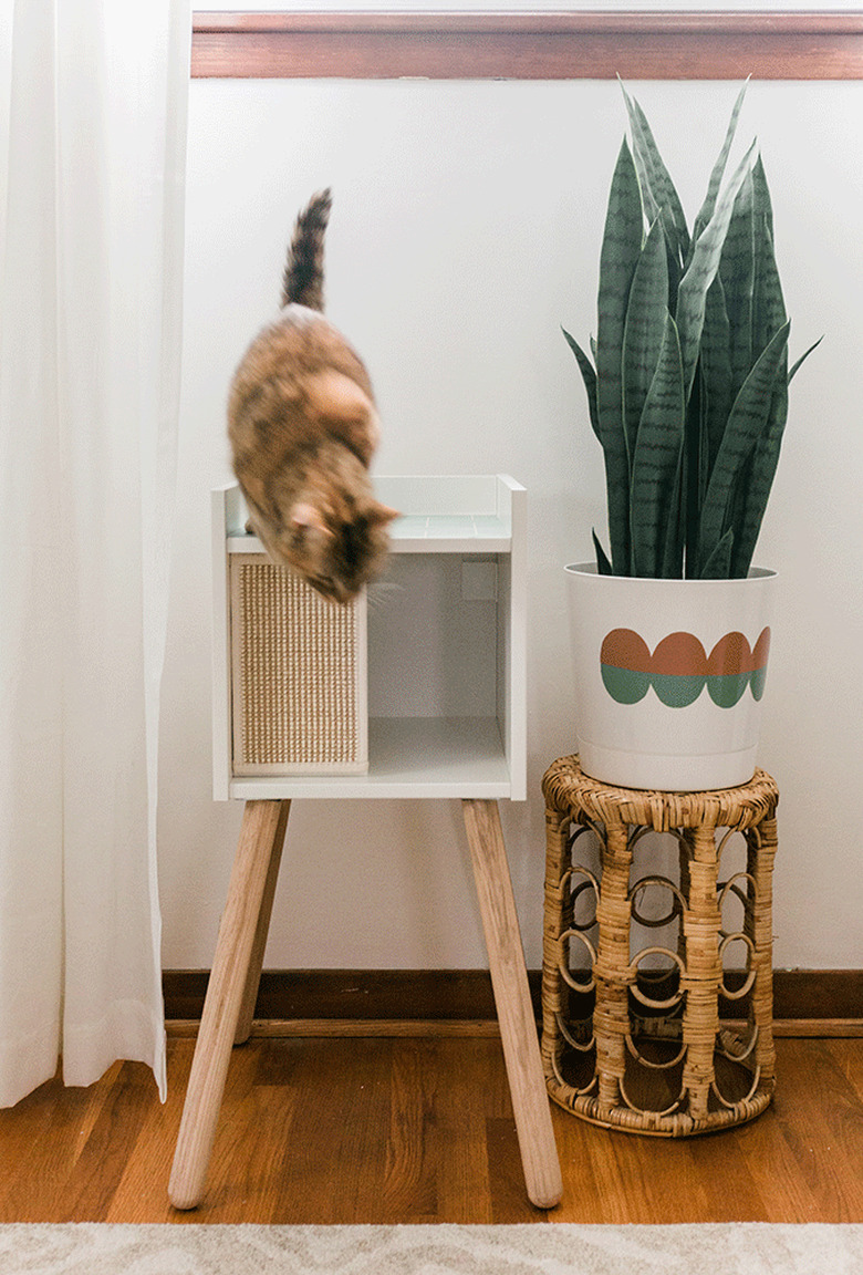 Allow your pet to enjoy her new playhouse!