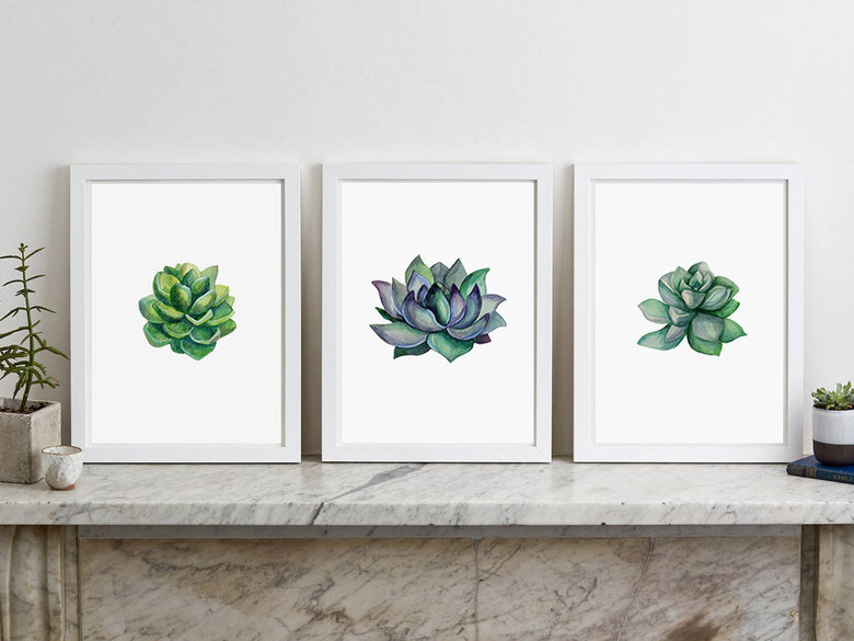 Trio of green succulent prints on white background