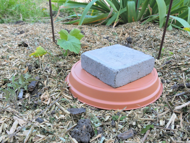 DIY continuous jar watering system