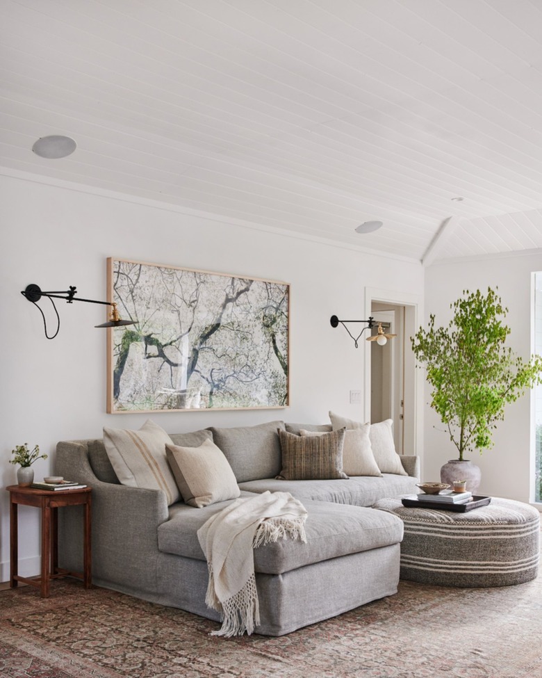 gray sofa with terra cotta rug