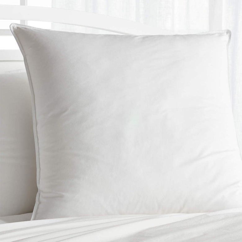 Crate and Barrel Hypoallergenic Medium Euro Pillow