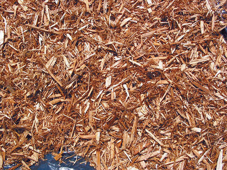 Cedar mulch.
