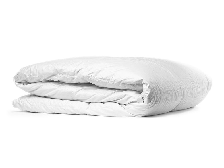 Parachute Down Alternative All Season Duvet Insert