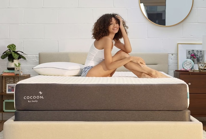 cocoon by sealy mattress