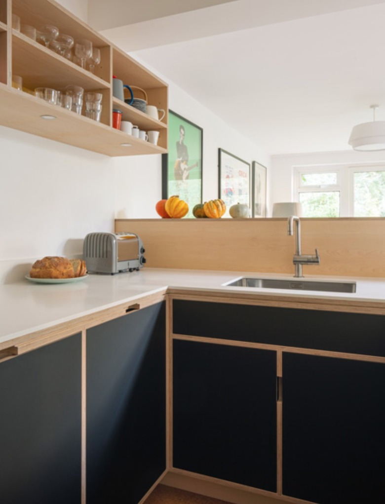 Minimalist kitchen with black cabinets