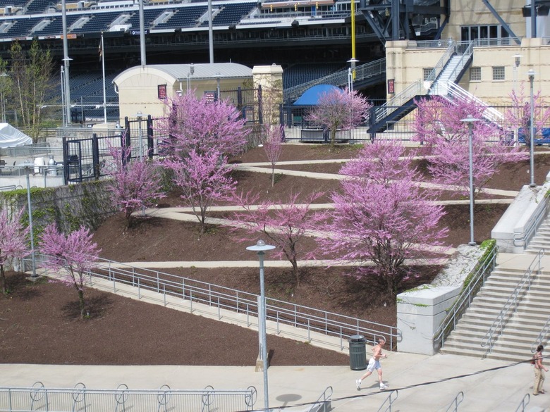 wheelchair ramp at PNC Park in Pittsburgh