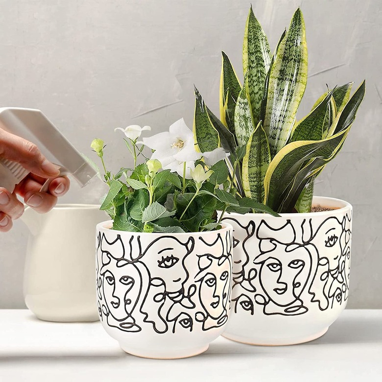 amazon unique planters