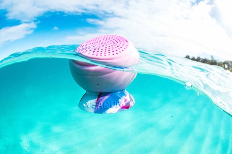 REI Speaqua Underwater Speaker