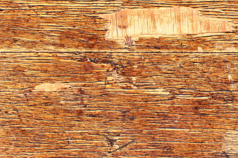 Old scratched cracked varnished wooden veneer texture background