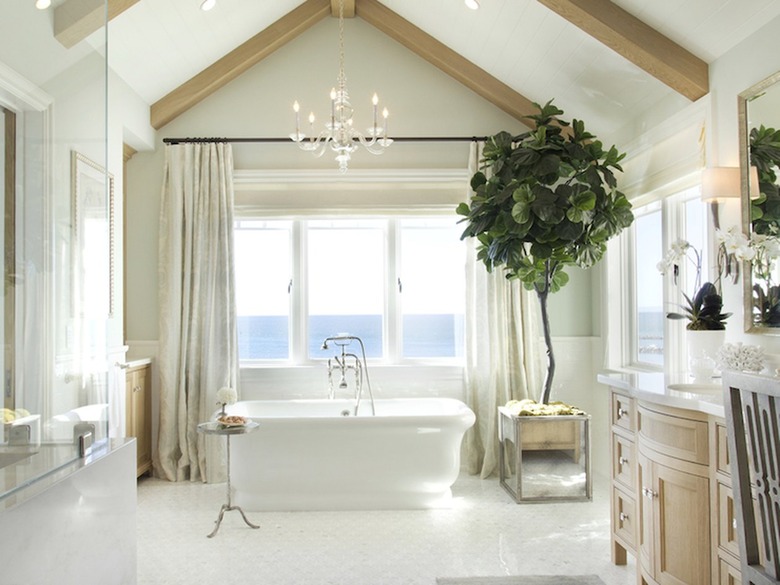 bathroom with large potted tree