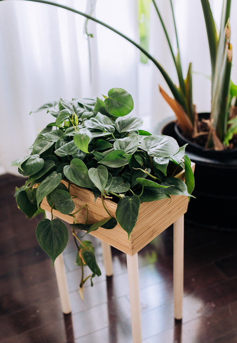 IKEA VARIERA planter