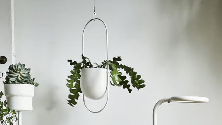 A hanging planter with a faux plant in it