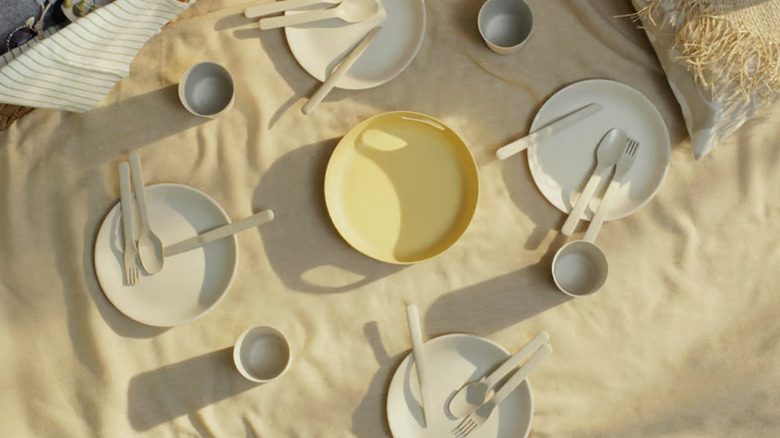 A set of plastic tableware on a picnic blanket