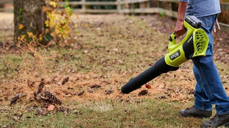 Person clearing leaves with Ryobi leaf blower
