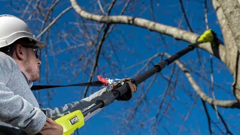 Worker using Ryobi pole saw to trim tree branch