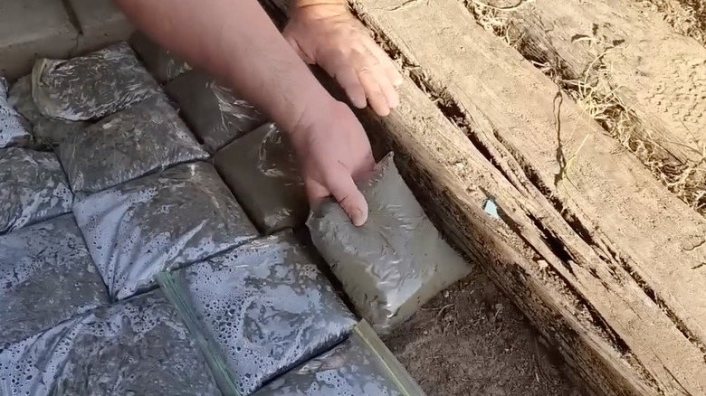 A person sets Ziplock bags full of concrete mixture on the ground to create a cobblestone path