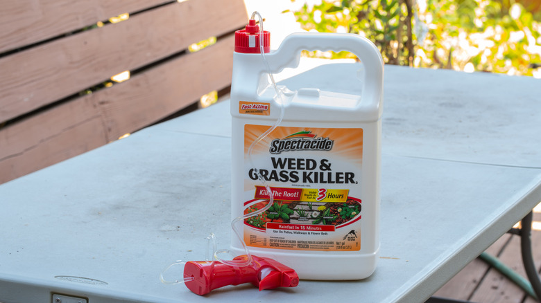 A container of Spectracide Weed and Grass Killer sits on an outdoor table