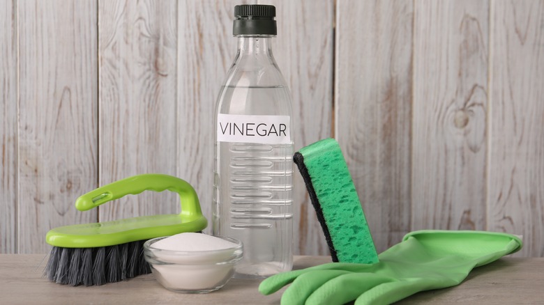 Labeled vinegar bottle with rubber gloves, scrub brush, and sponge