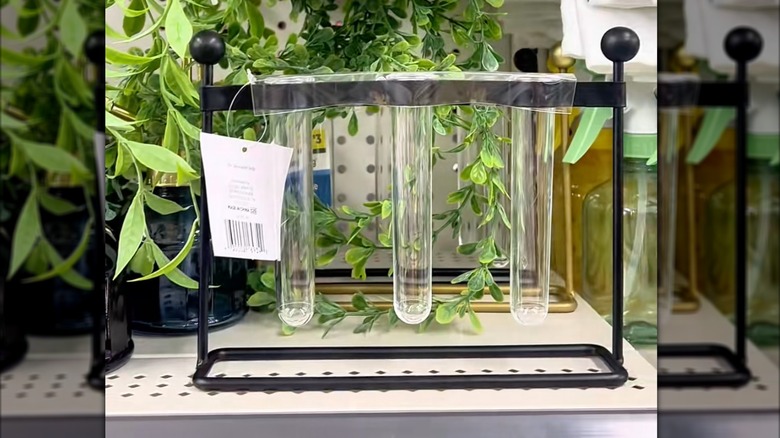 Dollar General triple bud vase and propagation station in store