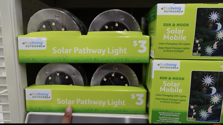 Dollar General Solar Pathway Stake Light on shelf in store