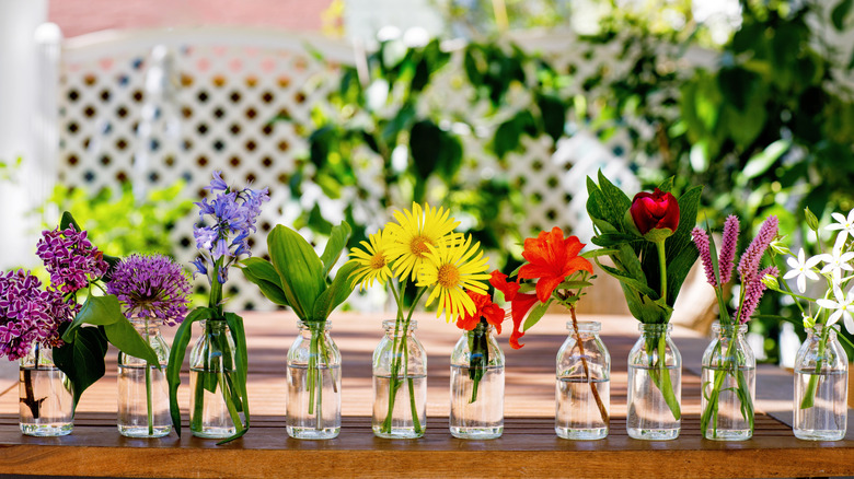 A lineup of clear bottle-shaped vases hold an assortment of cut spring flowers.