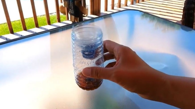 Person holding DIY wasp trap made from repurposed plastic water bottle