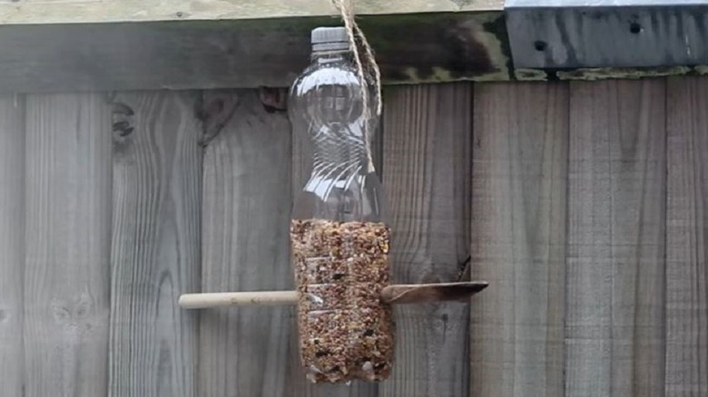Giant water bottle turned into bird feeder filled with seeds