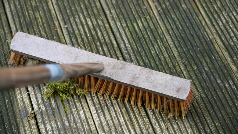Scrubbing algae off of a deck with a bristled broom