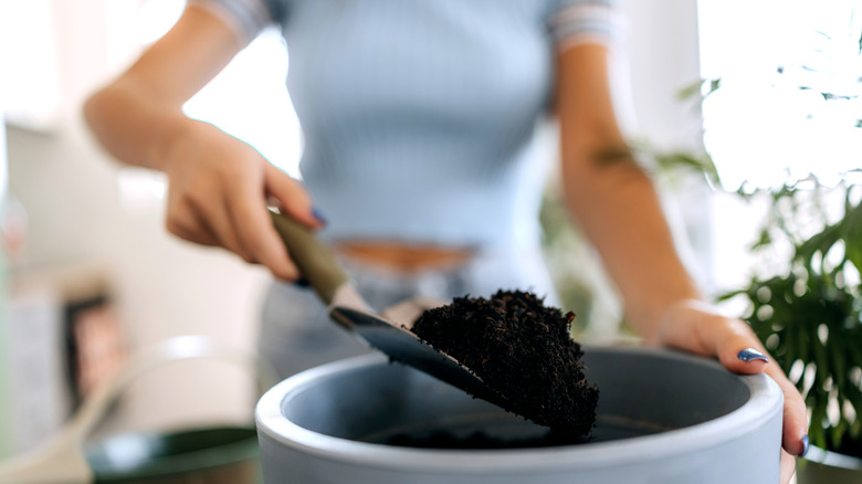 Woman scooping potting soil