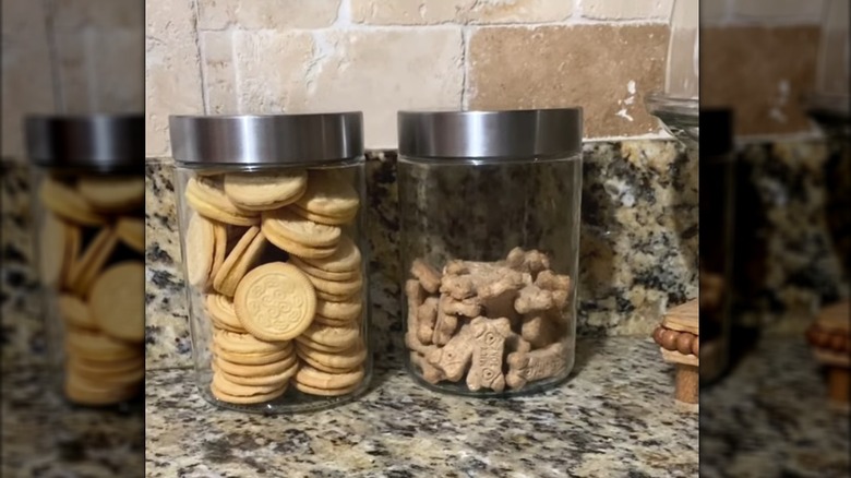 Human snacks and pet treats in cheap glass jars with metal lids