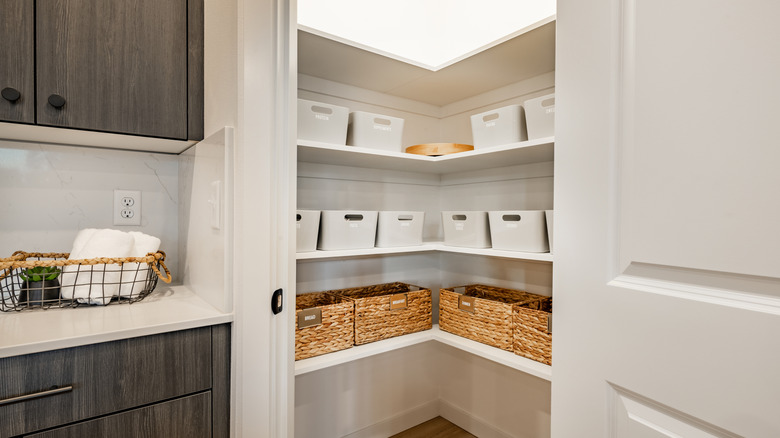 pantry filled with various baskets for organization