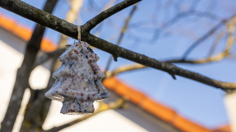 Suet block shaped like a pine tree hanging in a tree