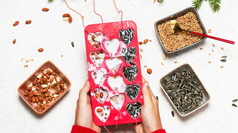 Person filling a silicone mold with bird seed to make heart-shaped suet blocks