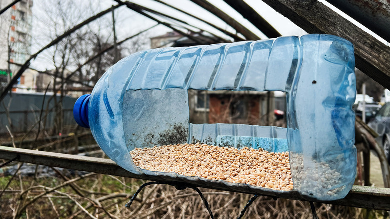 Plastic bottle on its side with openings cut in it, full of bird seed