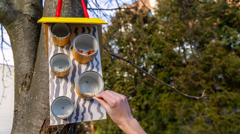 A board with cans nailed to it, with different seeds in the cans