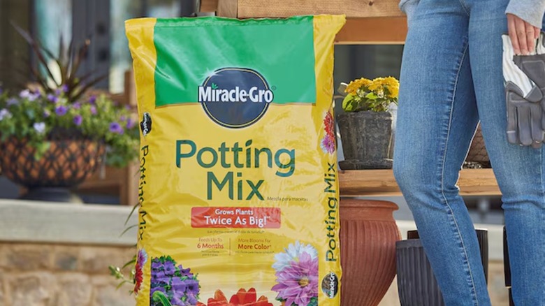 A woman stands next to a bag of Miracle-Gro Potting Mix