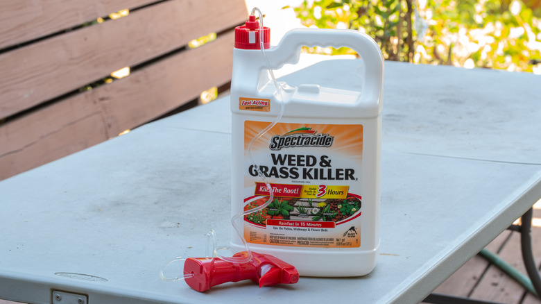 A bottle of Spectracide Grass and Weed Killer sits outside on a white plastic table
