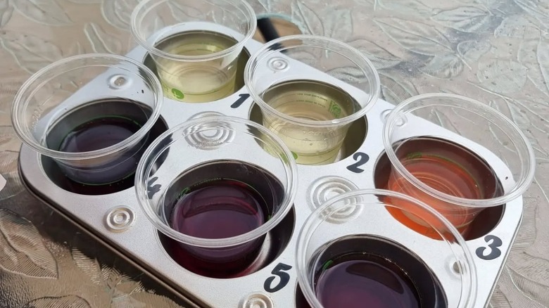 Plastic cups of wine sitting in muffin tray