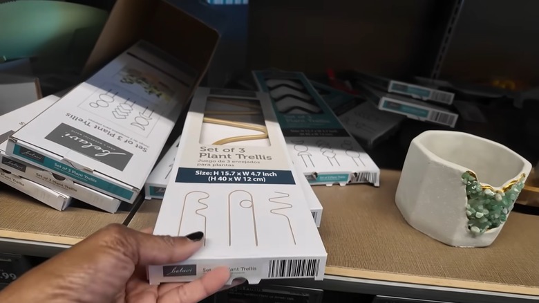 Person picking a Belavi Plant Trellis pack from a shelf